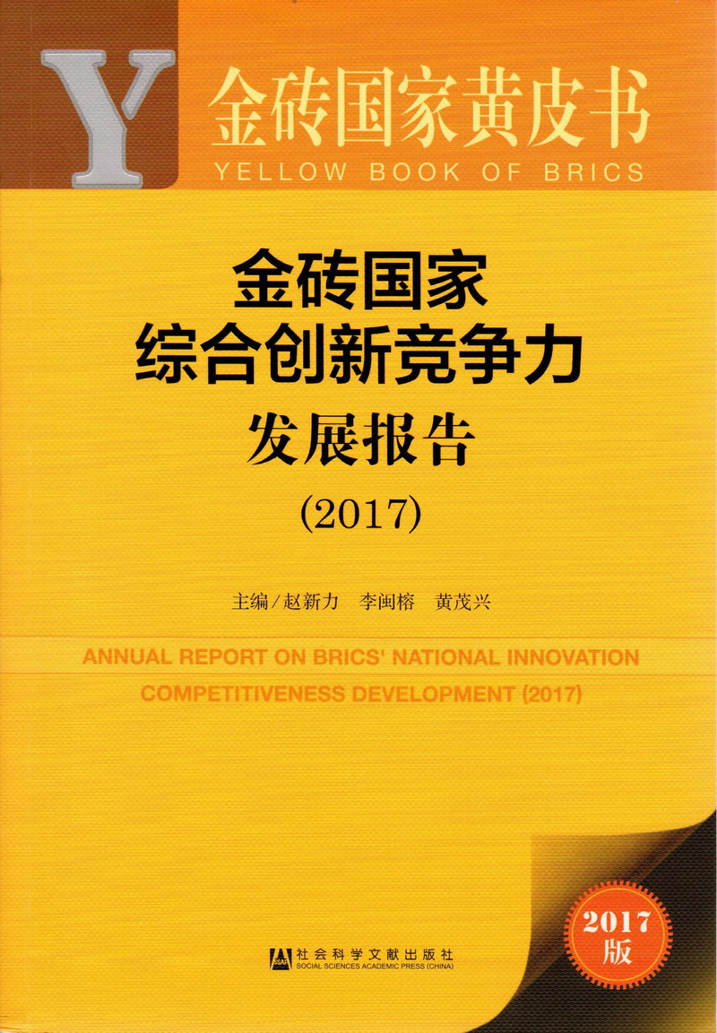 白虎妹操起来更浪金砖国家综合创新竞争力发展报告（2017）